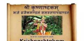 Krishnashtakam Lyrics - श्री कृष्णाष्टकम् : भजे व्रजैकमण्डनं