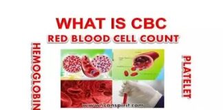 What is complete blood count test in hindi