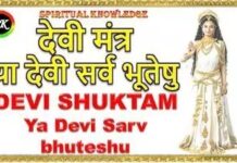 Tantroktam Devisuktam | या देवी सर्व भूतेषु -Devi Stuti